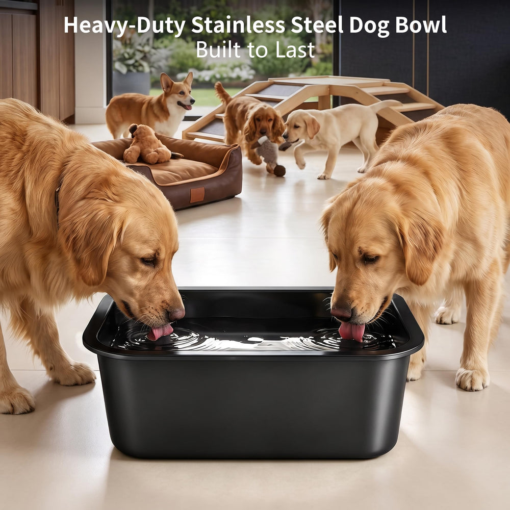 GIXSEGIE stainless steel dog bowl presented for serving pet food.