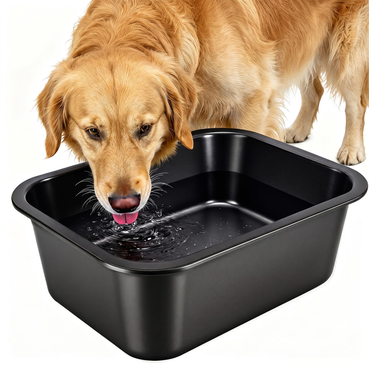GIXSEGIE stainless steel dog bowl shown from the front with its black finish.