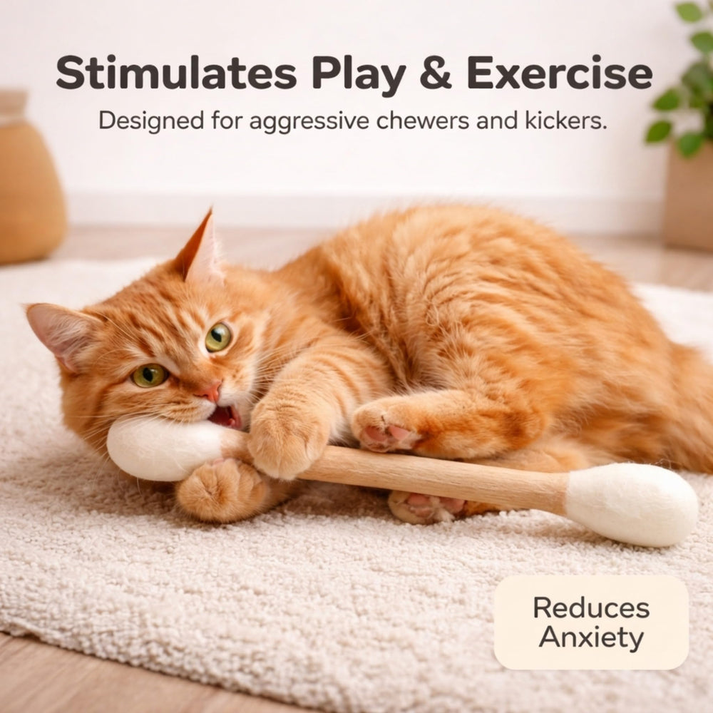 Glaciart One Giant Swab cat toy shown during interactive cat play.