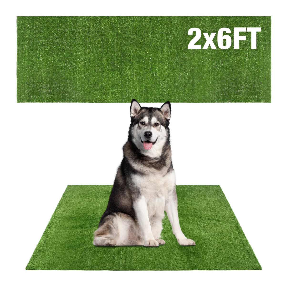 GLOBREEN dog grass pee pad shown as a full turf runner from the front.