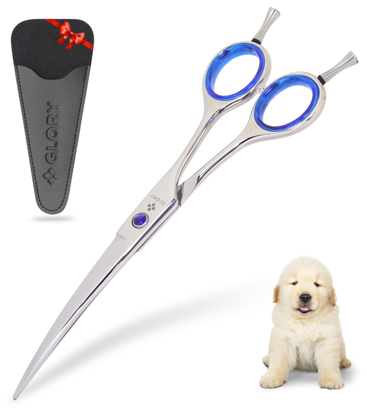 GLORY dog grooming scissors shown from the front with their curved shape visible.