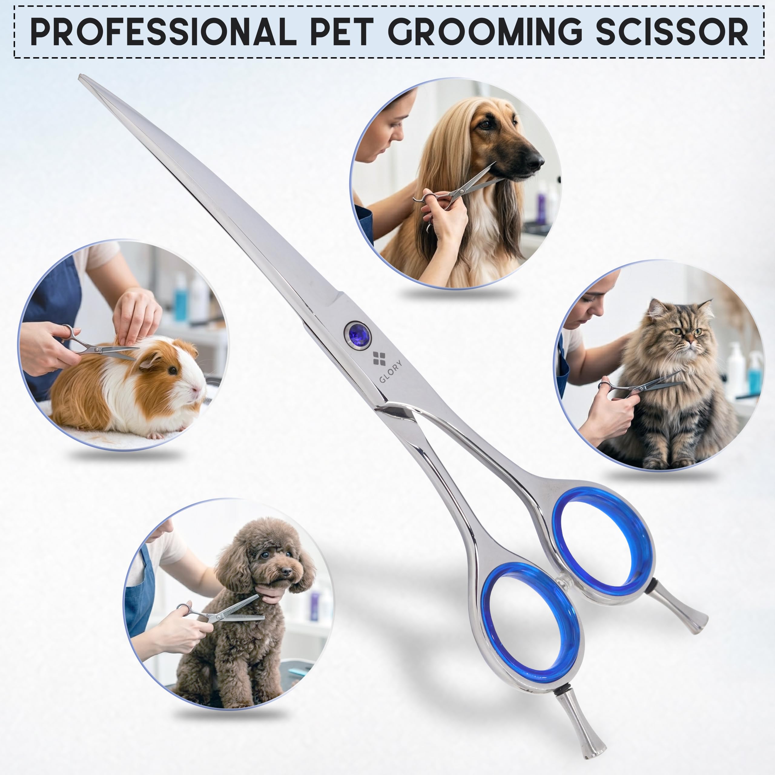GLORY dog grooming scissors detail showing the rounded safety tips.
