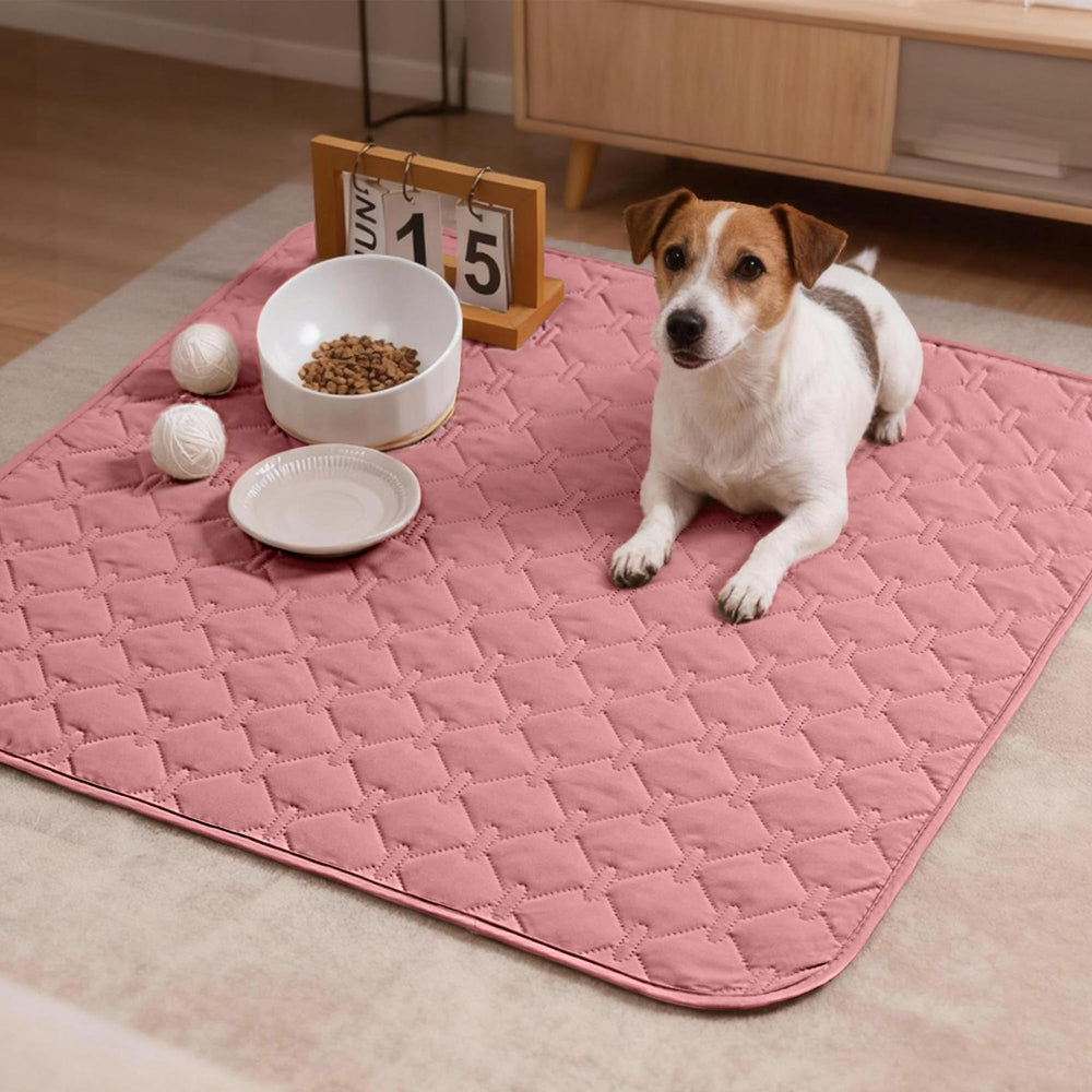 gogobunny pet blanket showing its dark pink side.