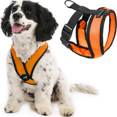 Gooby Comfort X dog harness shown from the front in orange.