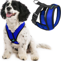 Gooby Comfort X dog harness shown from the front in blue.