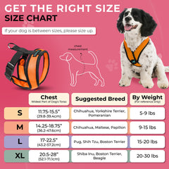 Gooby Comfort X dog harness close-up highlighting the polyester mesh.