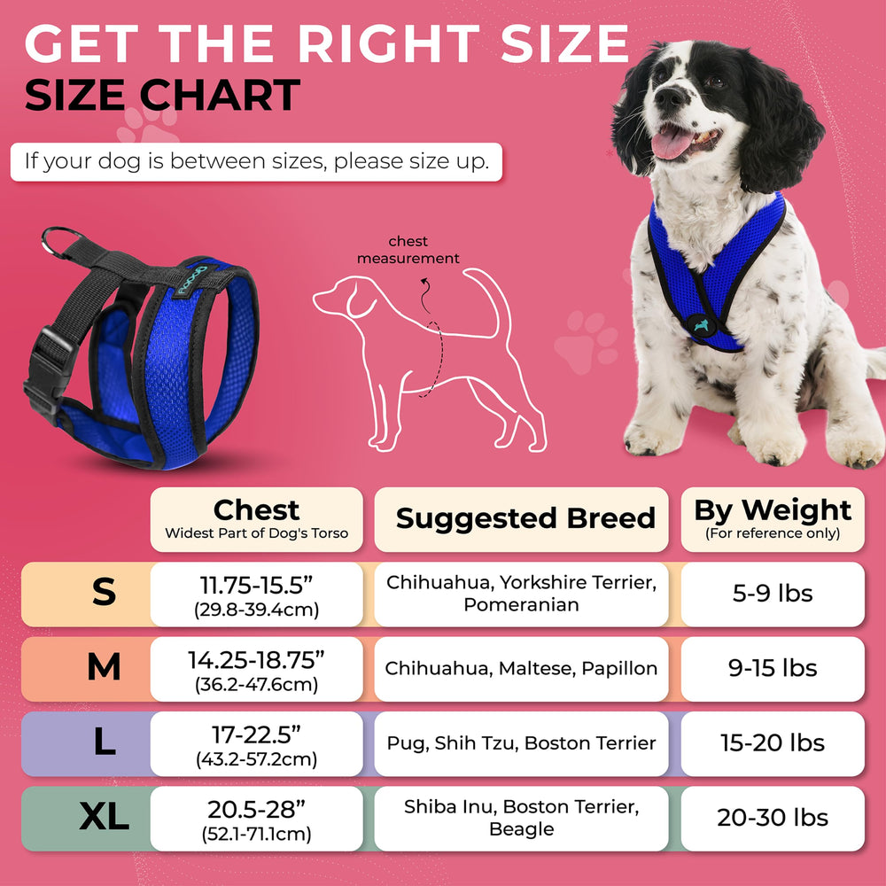 Gooby Comfort X dog harness shown being worn by a small dog.
