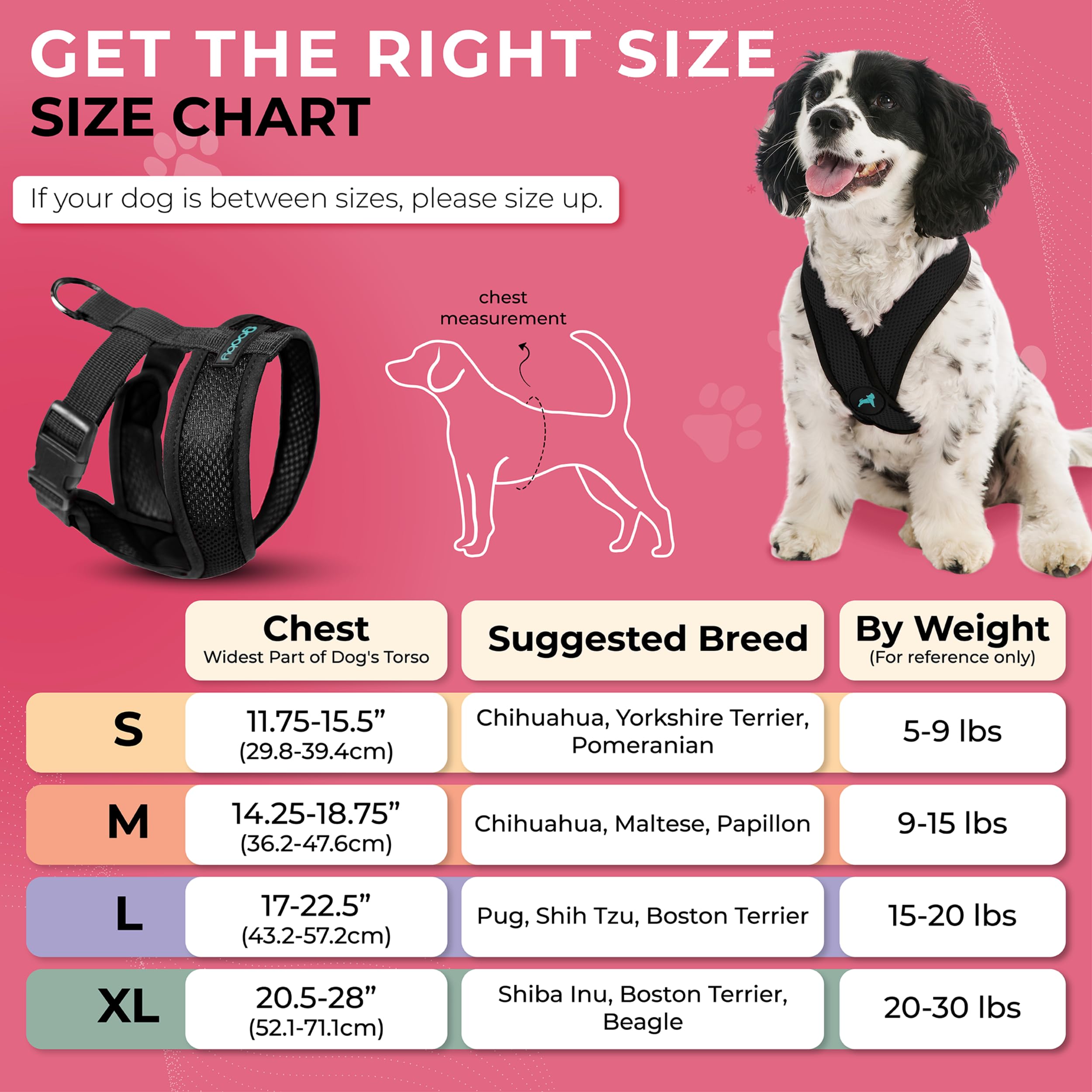 Back view of the metal leash ring on the Gooby Comfort X dog harness.