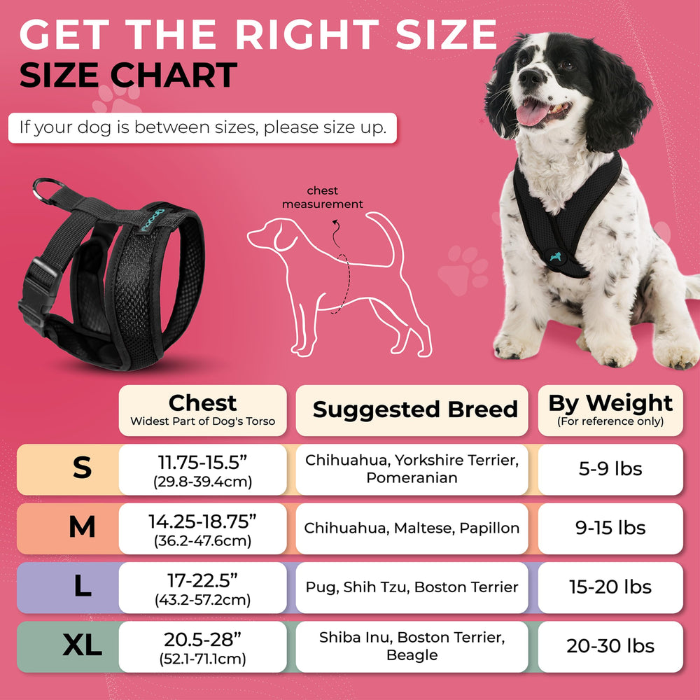 Back view of the metal leash ring on the Gooby Comfort X dog harness.