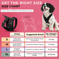 Back view of the metal leash ring on the Gooby Comfort X dog harness.