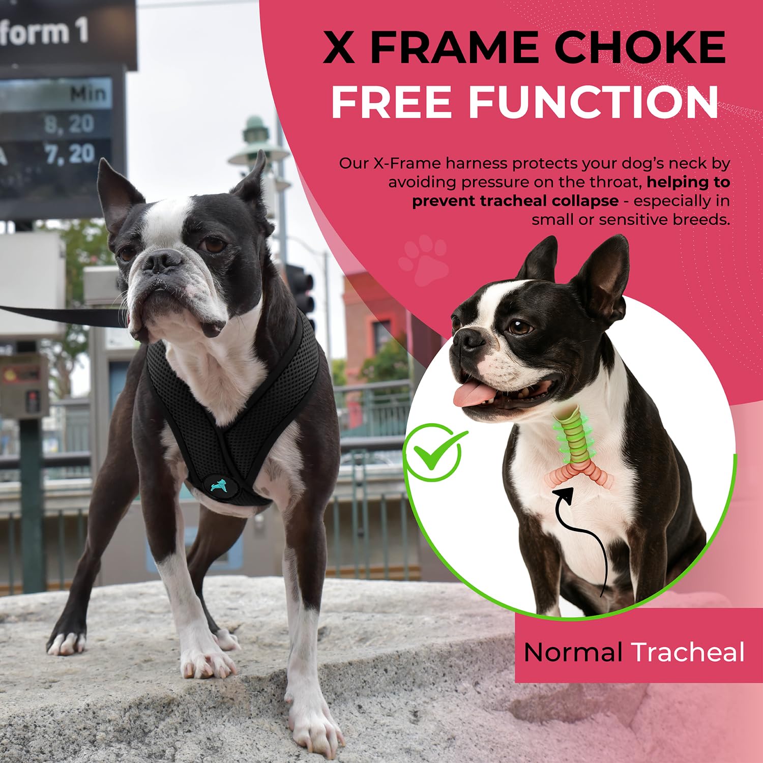 Side angle showing the shape of the Gooby Comfort X dog harness.