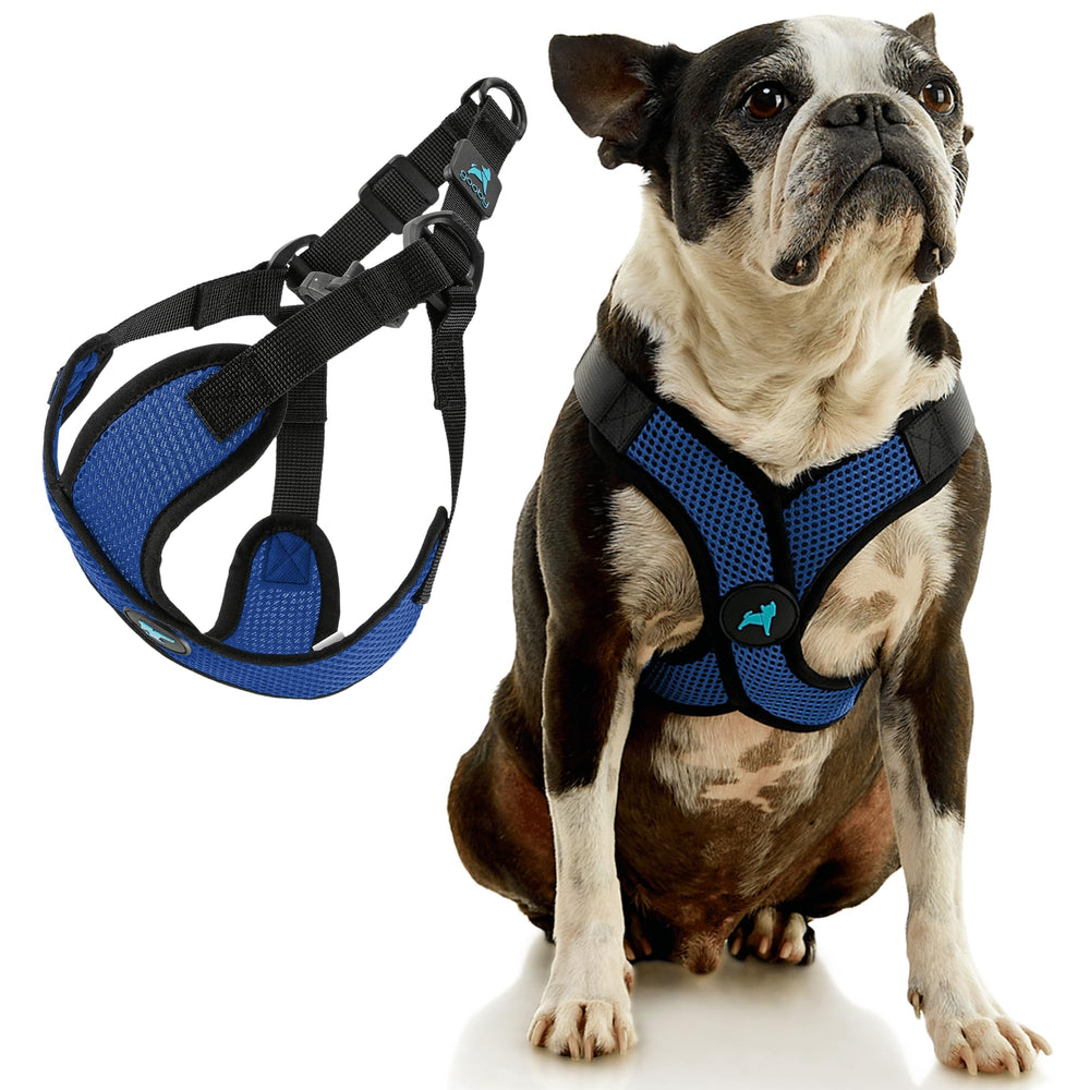 Gooby Comfort X Step-in Lite Harness with a close view of the breathable mesh.