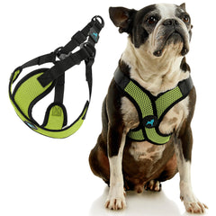 Gooby Comfort X Step-in Lite Harness with a close-up view of the breathable mesh.