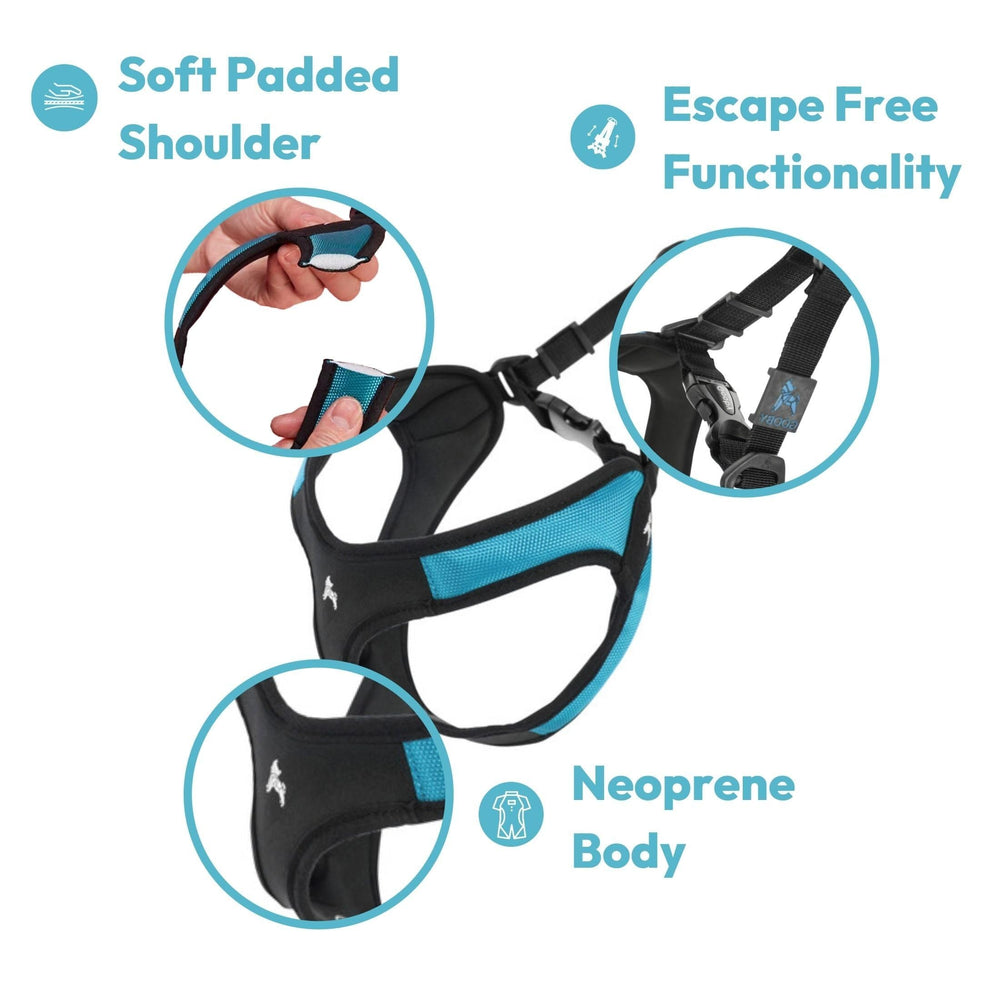 Gooby Easy Fit dog harness with a close view of the POM plastic leash ring.
