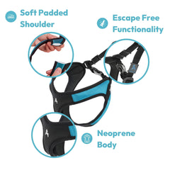 Gooby Easy Fit dog harness with a close view of the POM plastic leash ring.