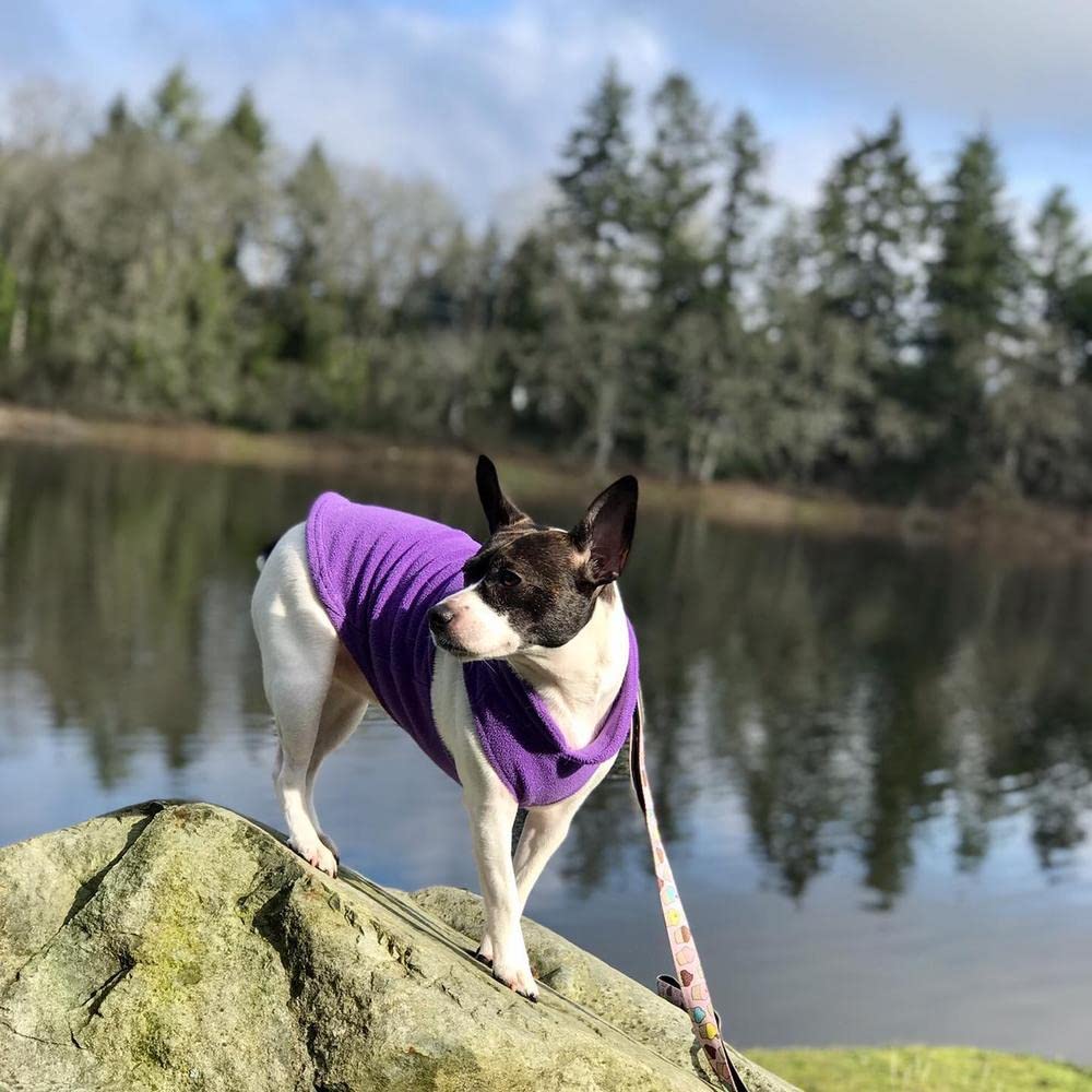 Gooby Fleece Dog Vest showing the pullover opening for putting it on.
