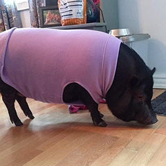 Side angle of the Gooby Stretch Fleece Dog Sweater.