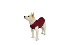 Gooby Stretch Fleece Vest Dog Sweater shown being worn by a dog.