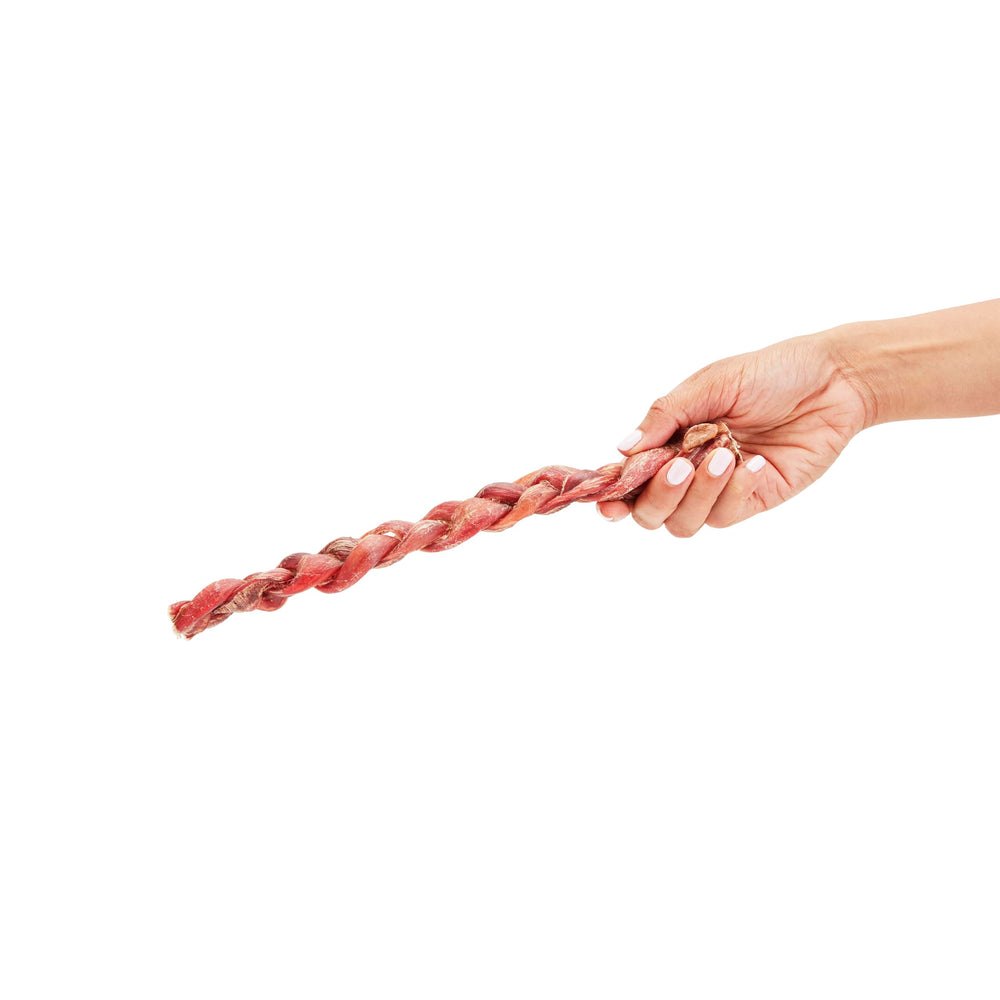 Good Lovin' Braided Bully Stick Dog Chew shown during a dog's chew time.