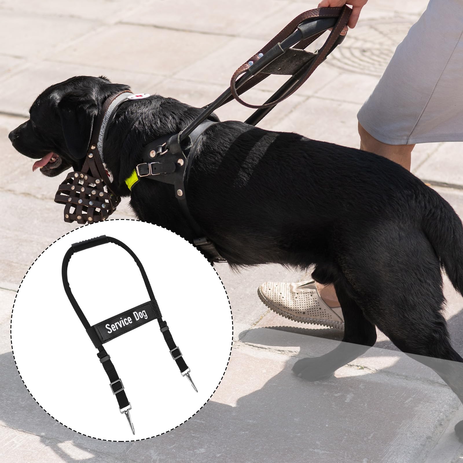 Gosknor service dog handle attached to a dog for training.