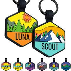 GoTags silicone pet ID tag shown from the front with its hexagon design.