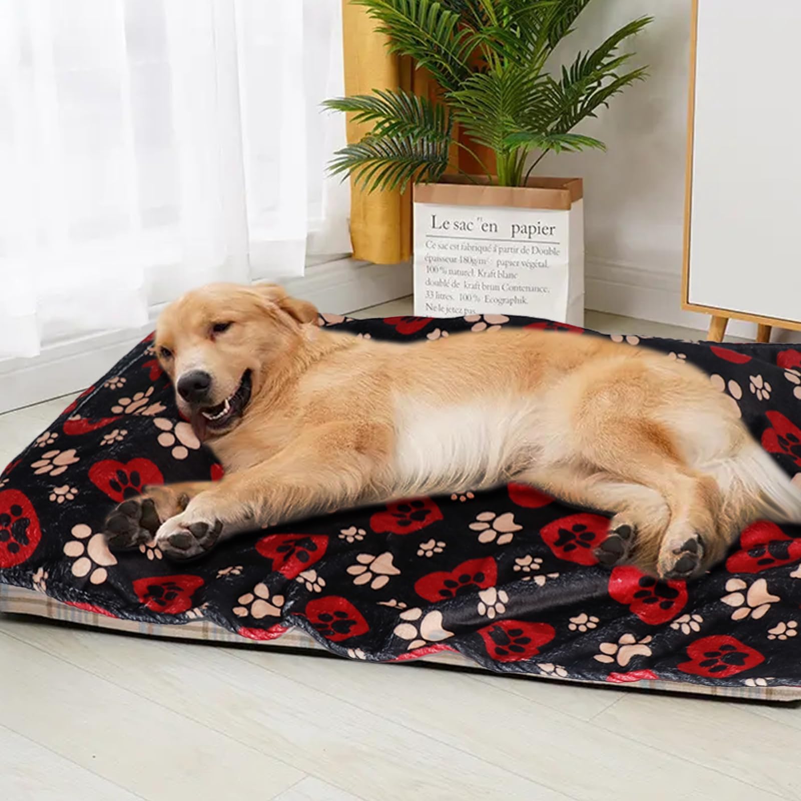 Gowyeg Dog Blanket folded for travel or an outdoor outing.