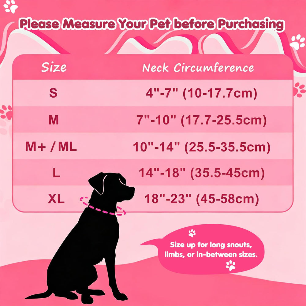 Grand Line inflatable dog collar showing the adjustable hook-and-loop fastener.