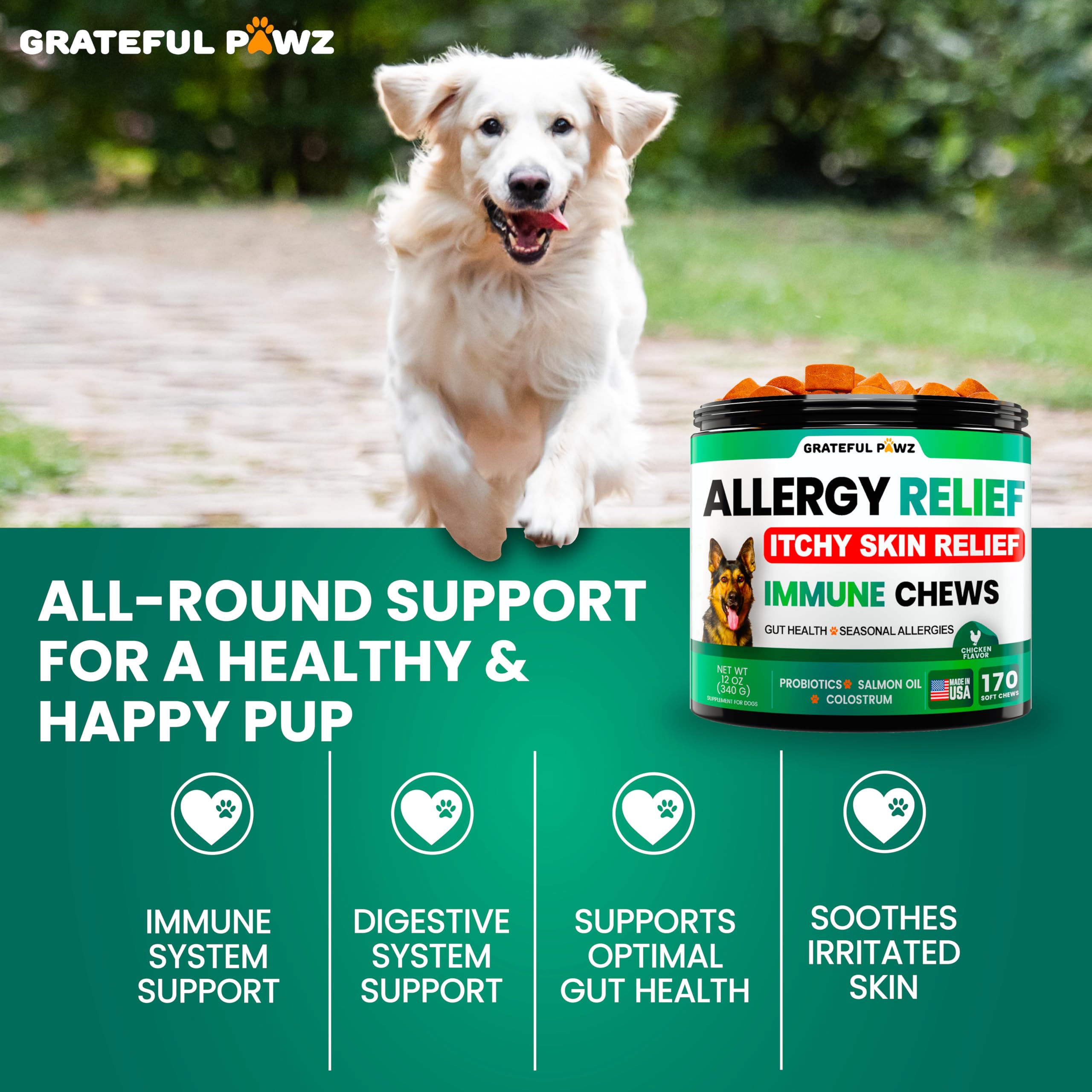 A dog being offered a Grateful Pawz Dog Allergy Relief Chew.