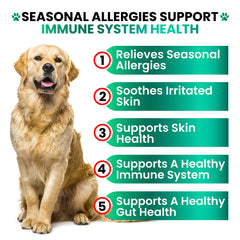 Grateful Pawz Dog Allergy Relief Chews shown close up to highlight the soft chew format.