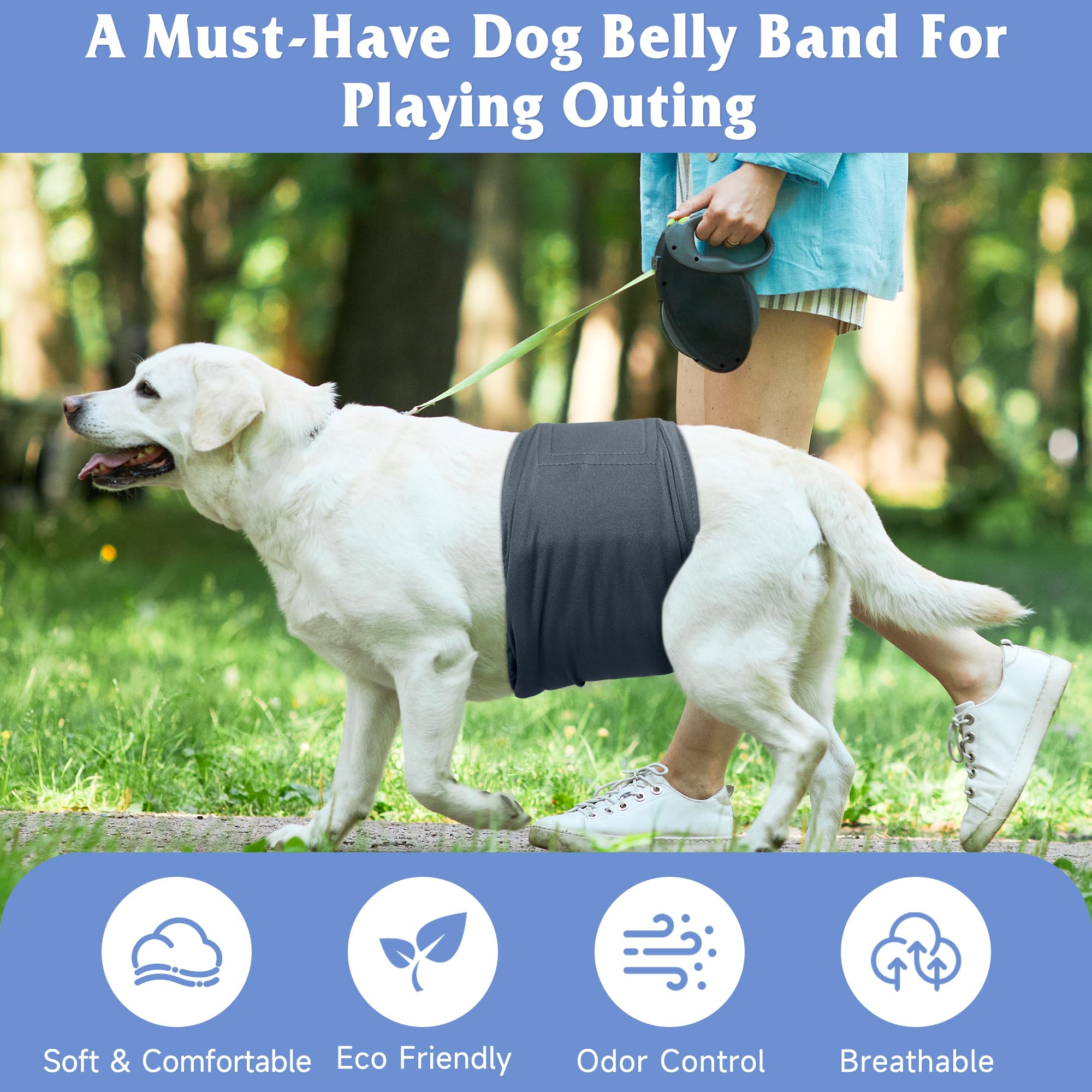 Grecle male dog belly band close-up showing the rectangular Velcro fastening.