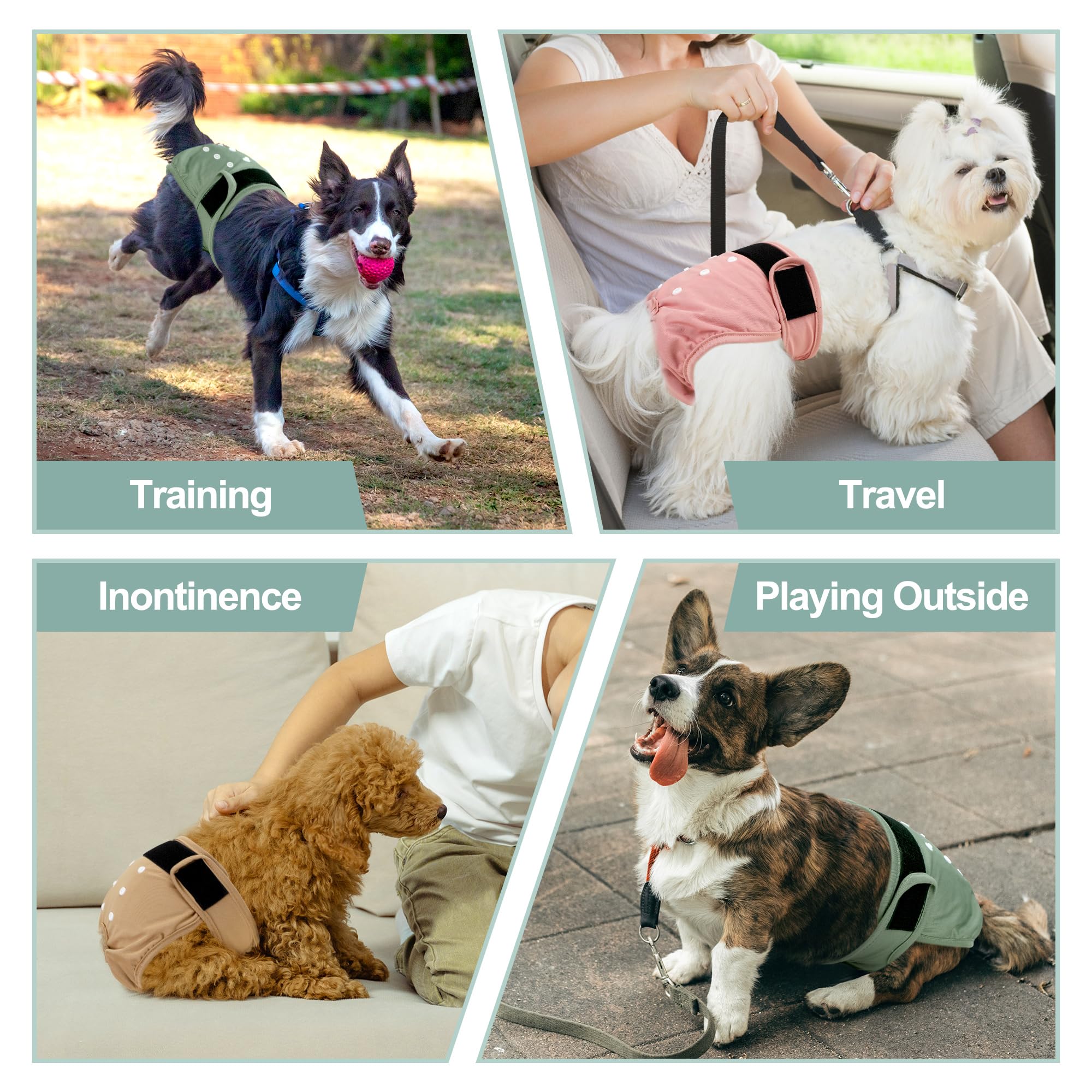 Grecle female dog diaper shown being worn by a dog.