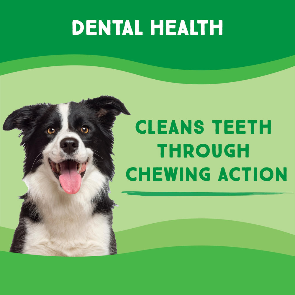 A dog chewing a GreenCow Rawhide Chip.