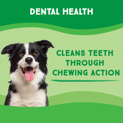 A dog chewing a GreenCow Rawhide Chips treat.