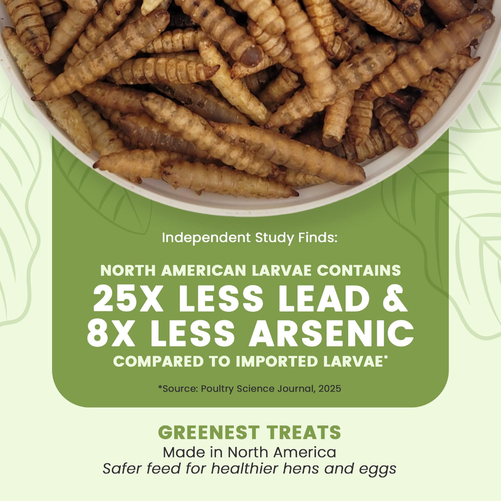 Greenest treats Black Soldier Fly Larvae shown as the product contents.