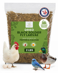 Greenest treats Black Soldier Fly Larvae shown as a dried treat for animals.
