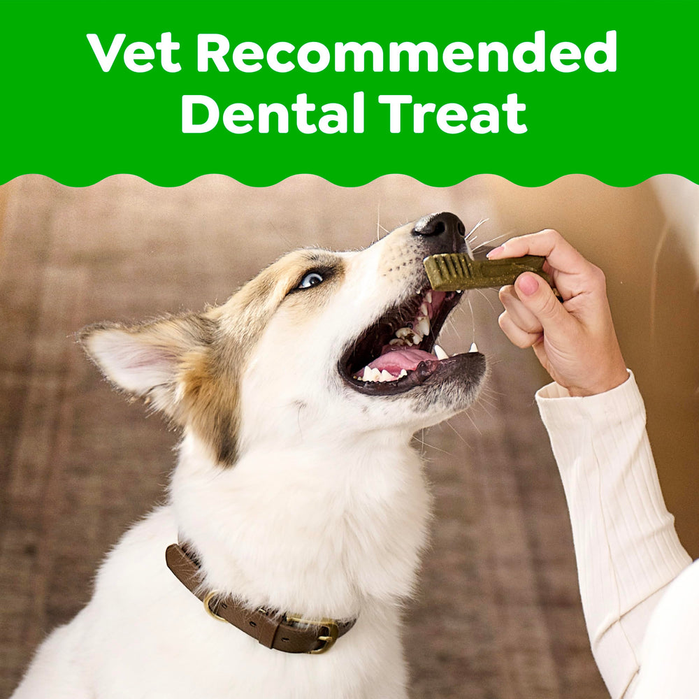 Greenies Regular Dental Dog Treats shown in a close-up of one chew.