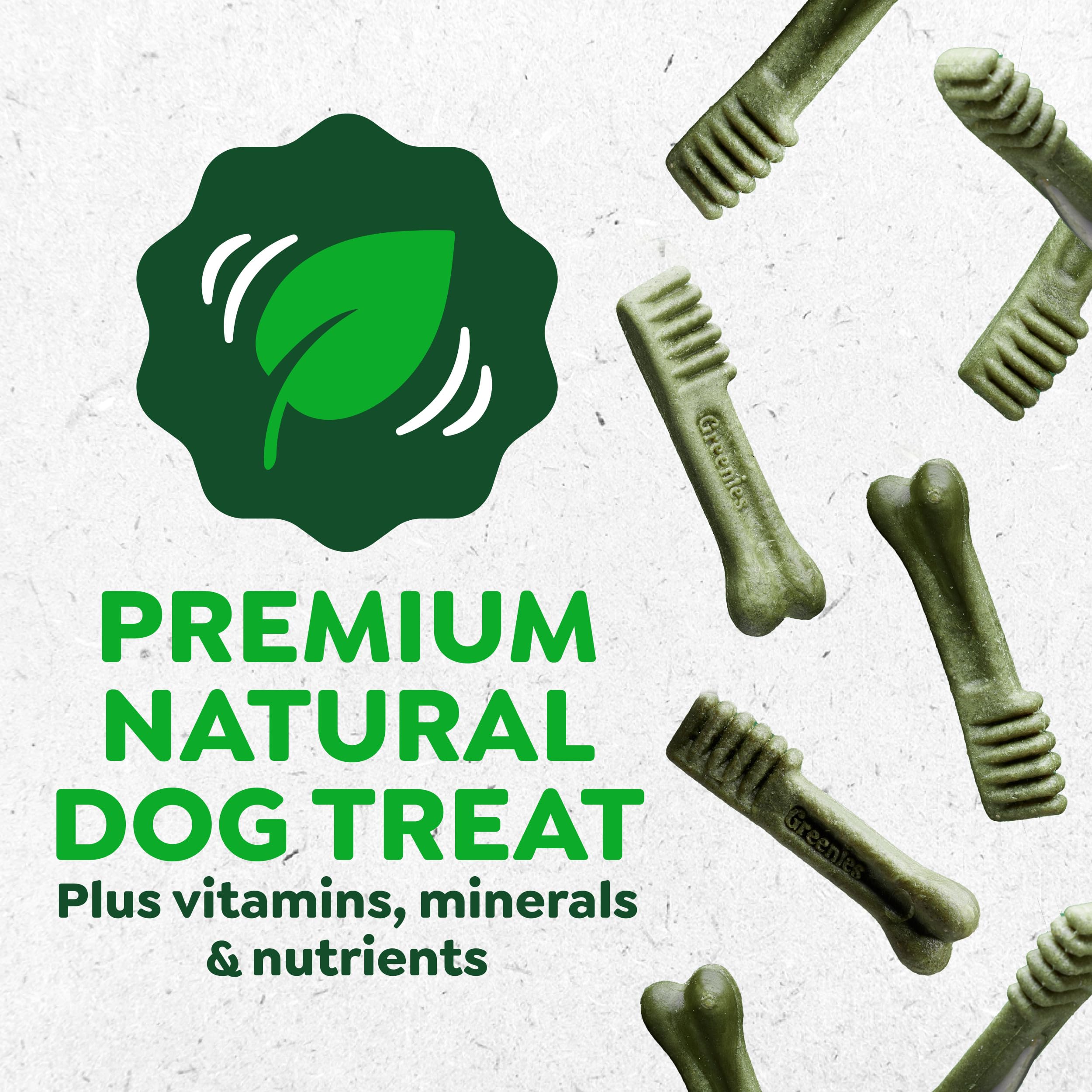 Greenies Regular Dental Dog Treats package shown from the back.