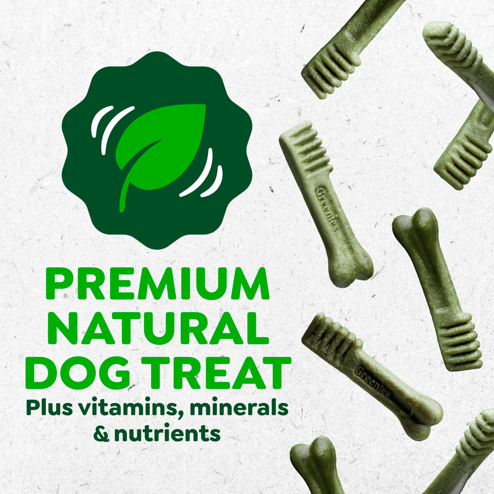 Greenies Regular Dental Dog Treats package shown from the back.