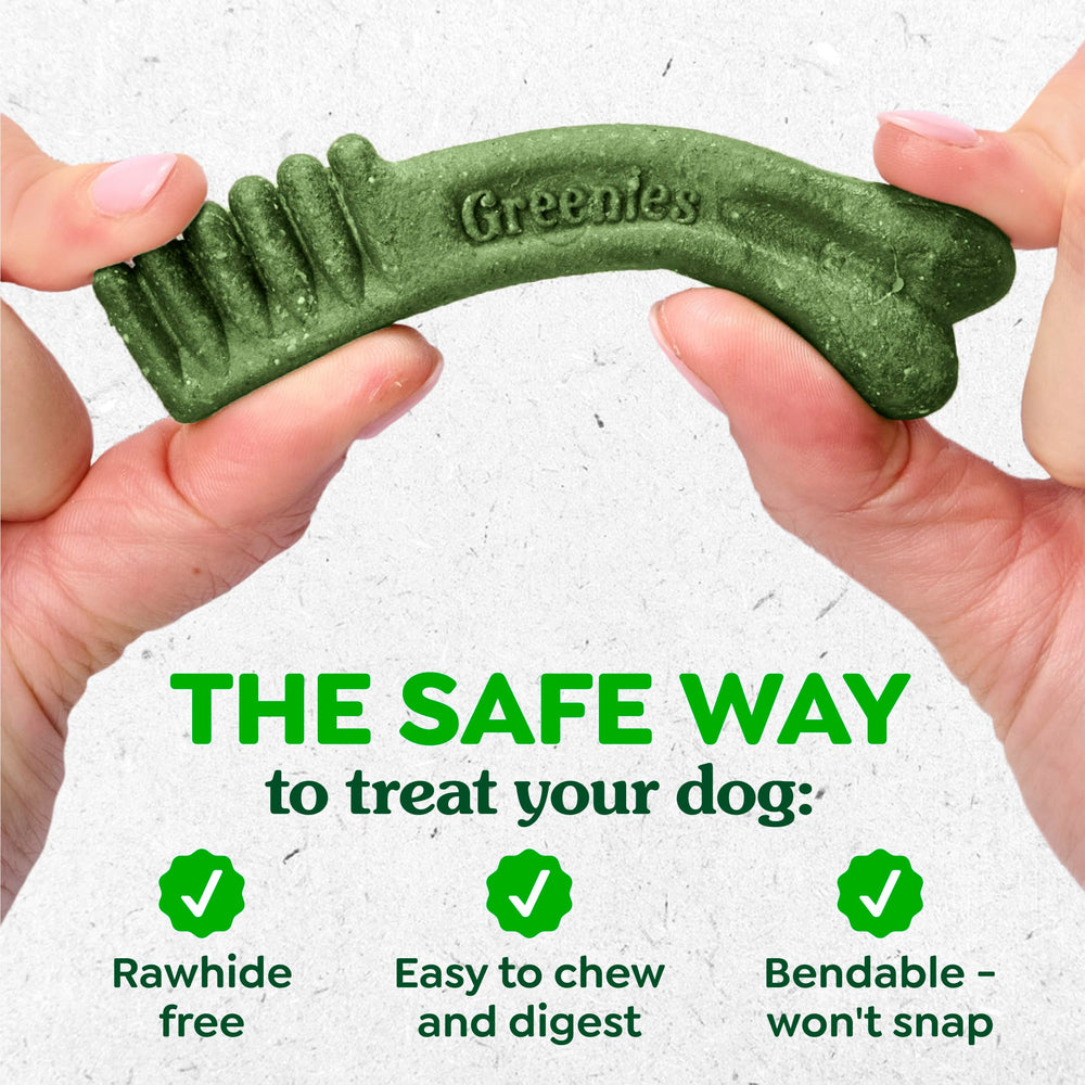 Greenies Regular Dental Dog Treats shown in a close-up of the flexible texture.