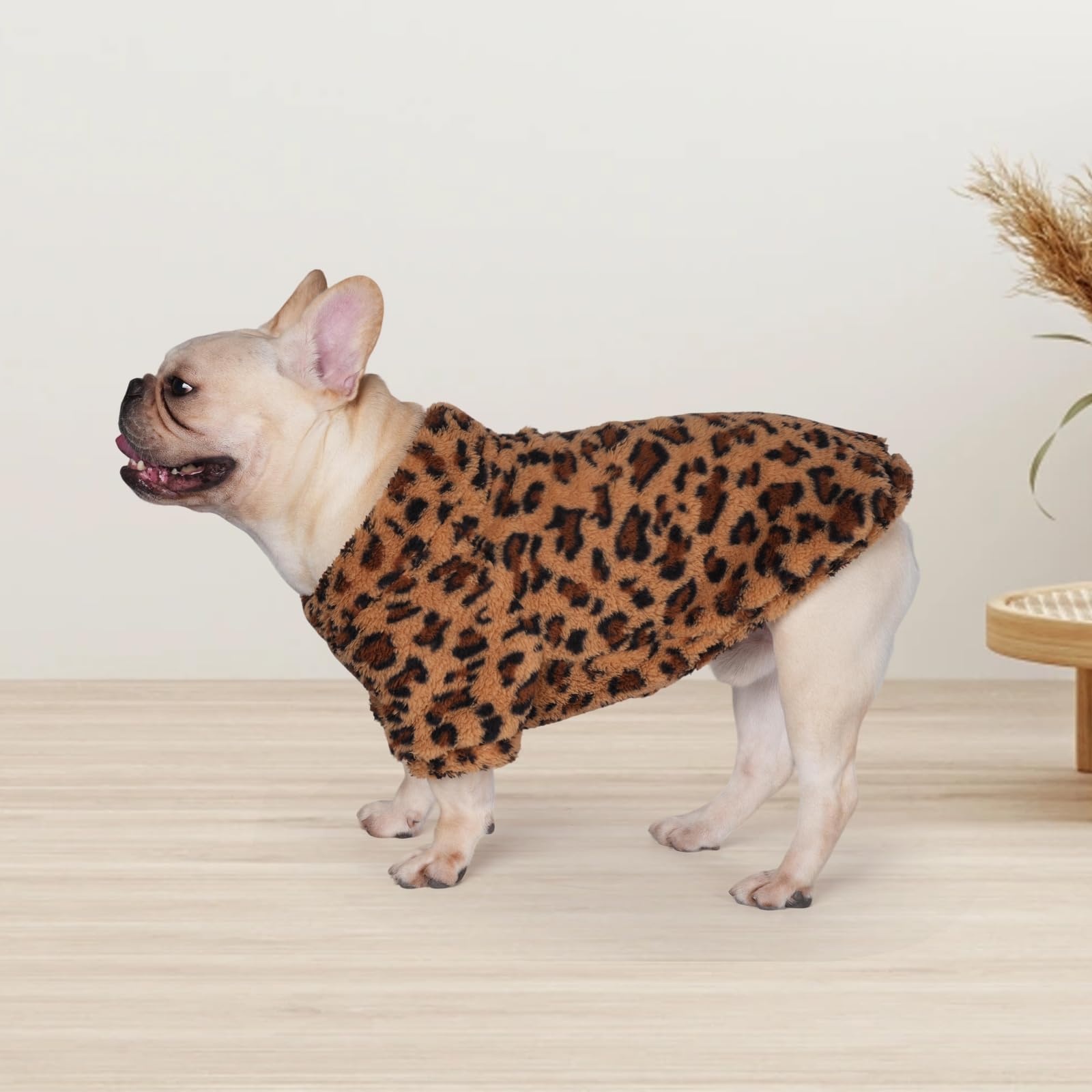 GreenJoy dog sweater in the Coffee Brown color option.