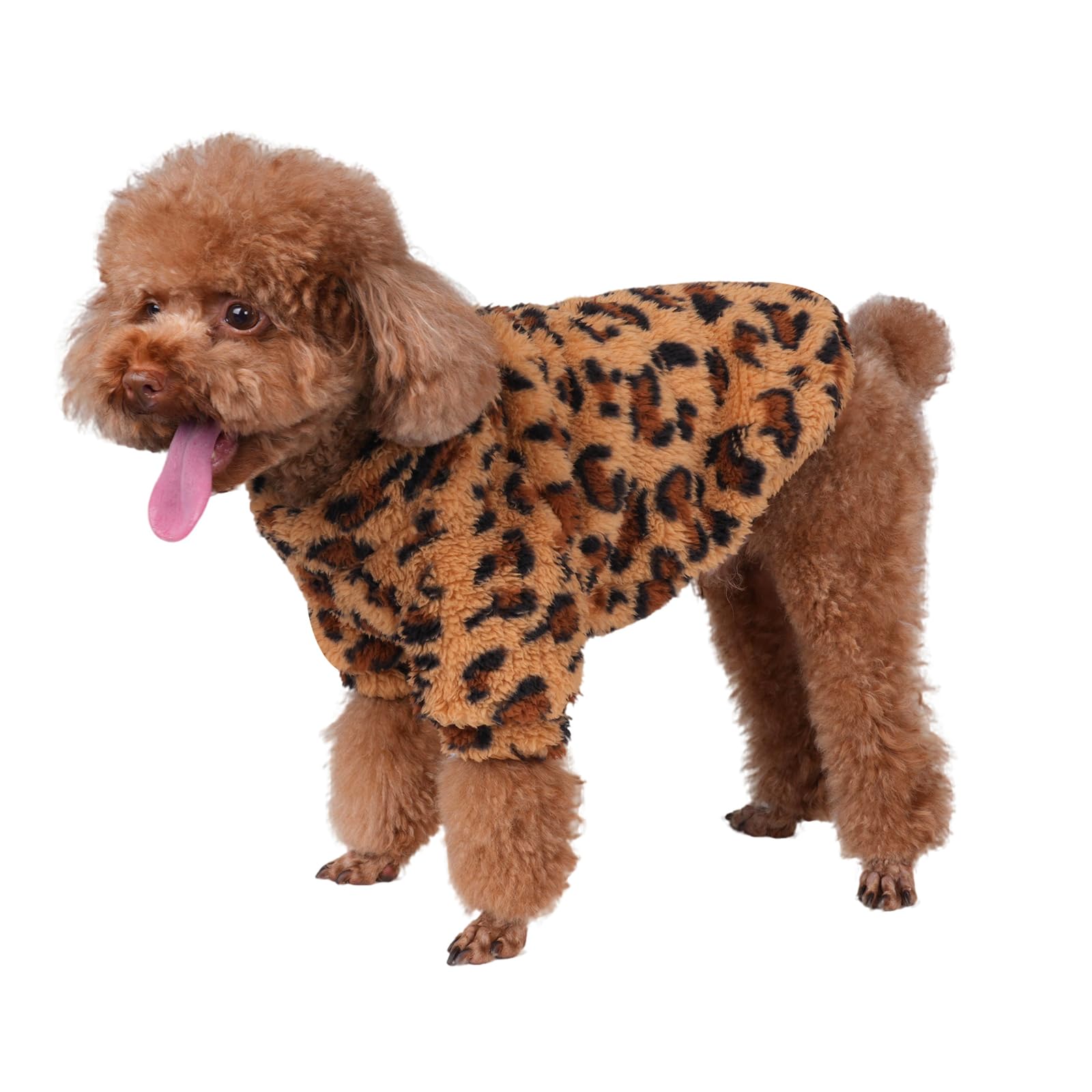GreenJoy dog sweater shown from the front in its leopard print design.