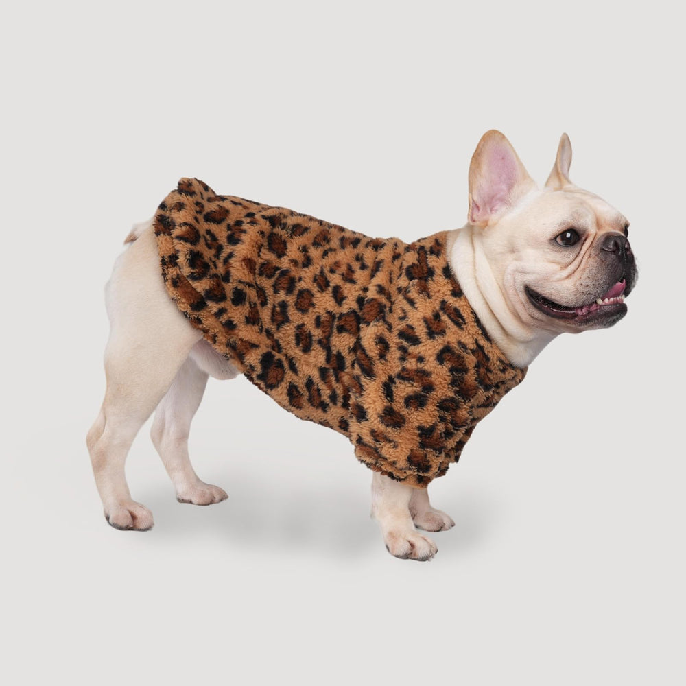 GreenJoy dog sweater featuring a close view of the leopard print.