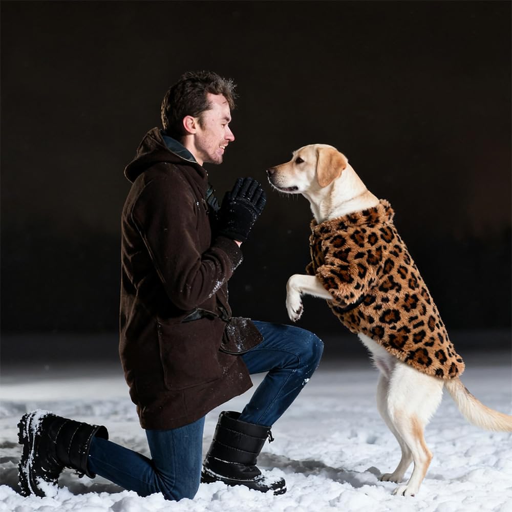 GreenJoy dog sweater showing its high turtleneck collar.