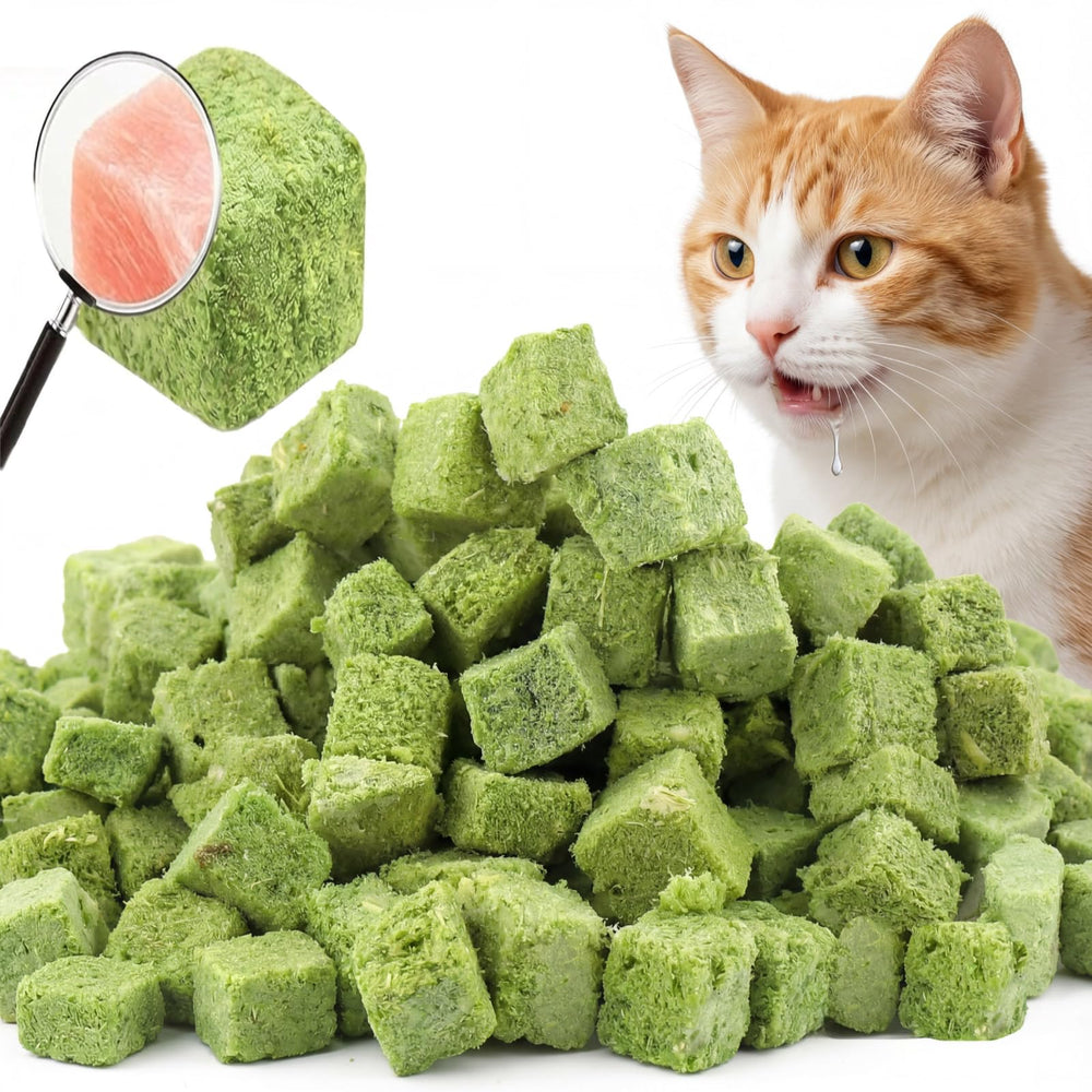 GREMBEB Cat Grass Treat shown from the front.