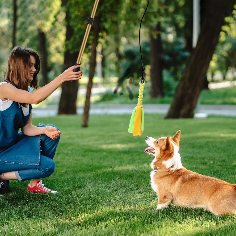 GRETMIX dog flirt pole shortened for carrying or compact storage.