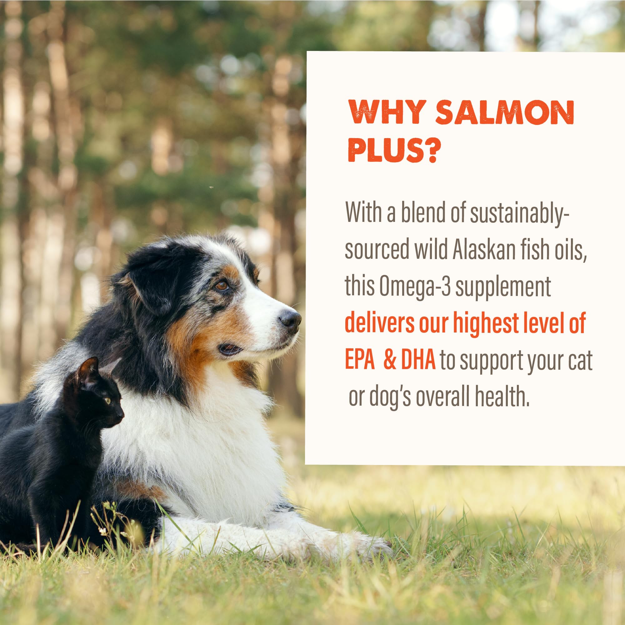 GRIZZLY PET PRODUCTS Salmon Plus bottle shown from the side.