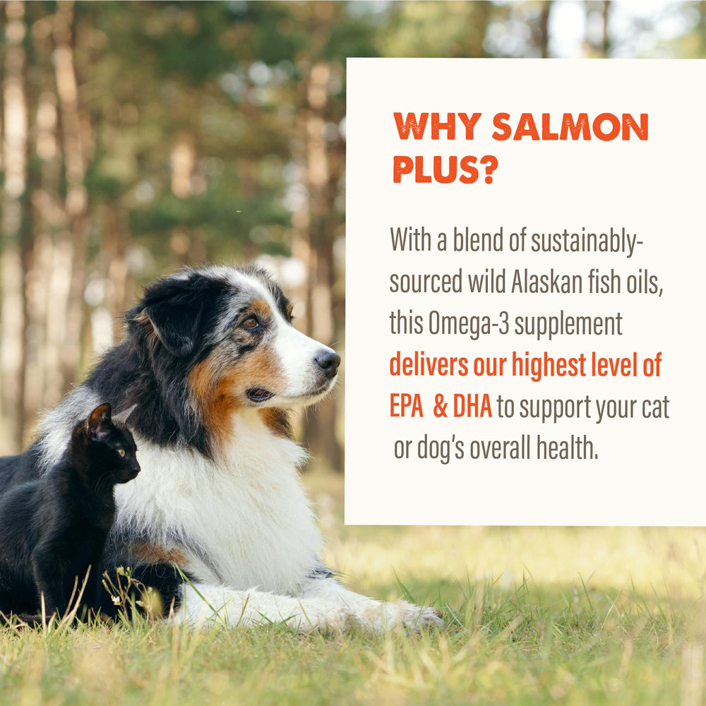 GRIZZLY PET PRODUCTS Salmon Plus bottle shown from the side.