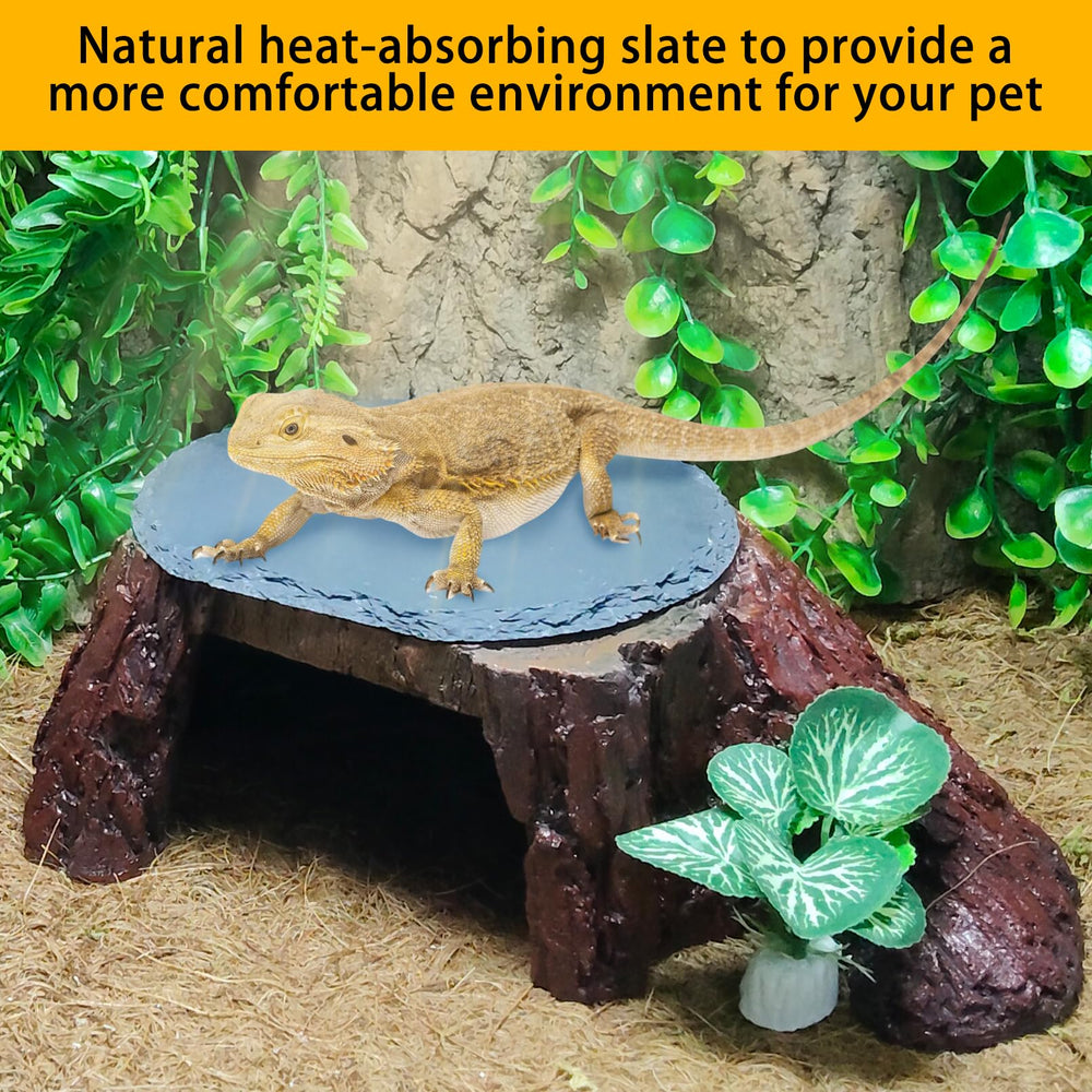GXSDJ Bearded Dragon Basking Platform displayed as a habitat feature for reptiles.