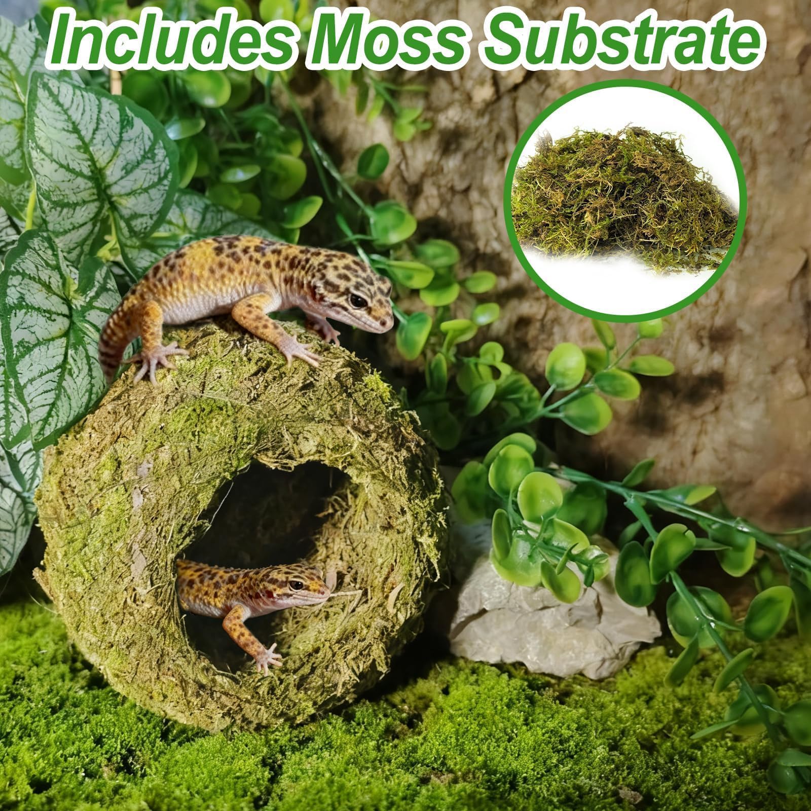 Gxsdj gecko hide placed inside a reptile habitat.