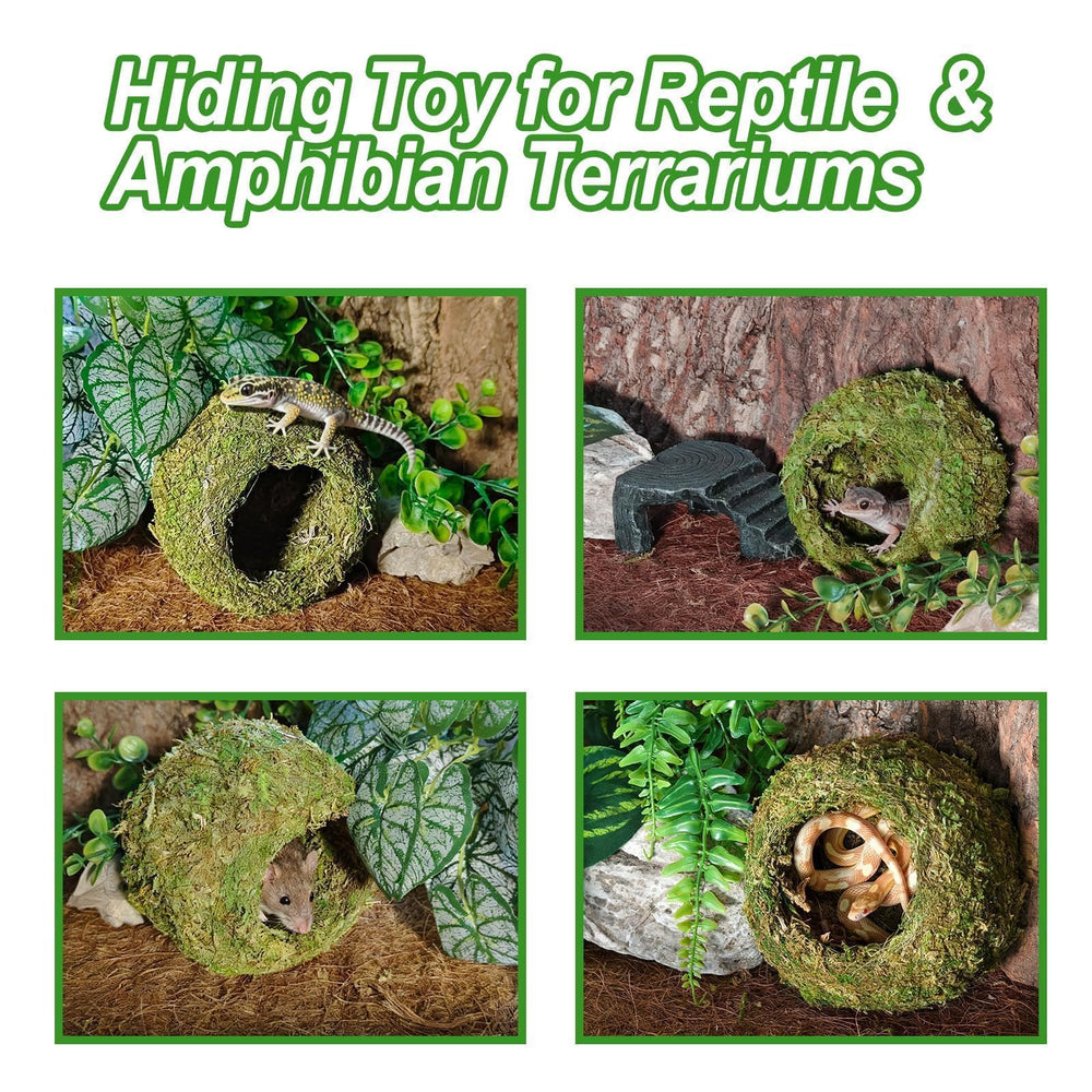 Gxsdj gecko hide set with the moss substrate shown alongside the caves.